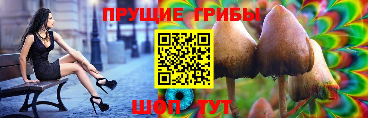 Псилоцибиновые грибы Psilocybe  закладки  Химки  Вход с VPN 